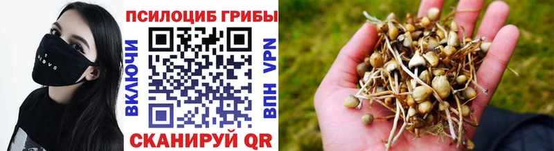 Галлюциногенные грибы Magic Shrooms Пересвет